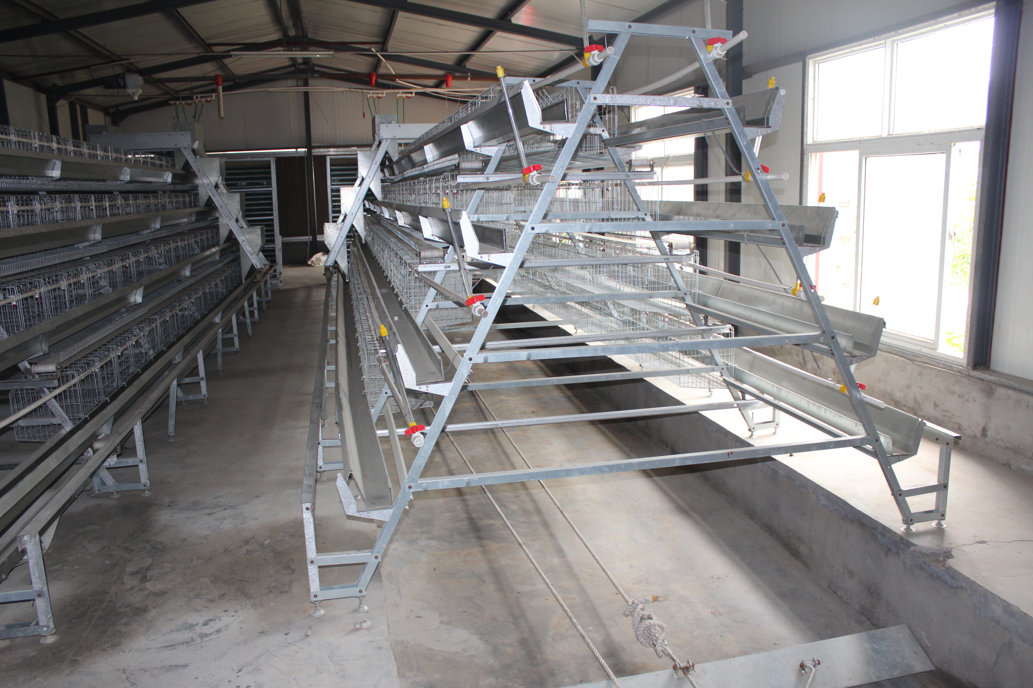 layer cage system Layer cage system